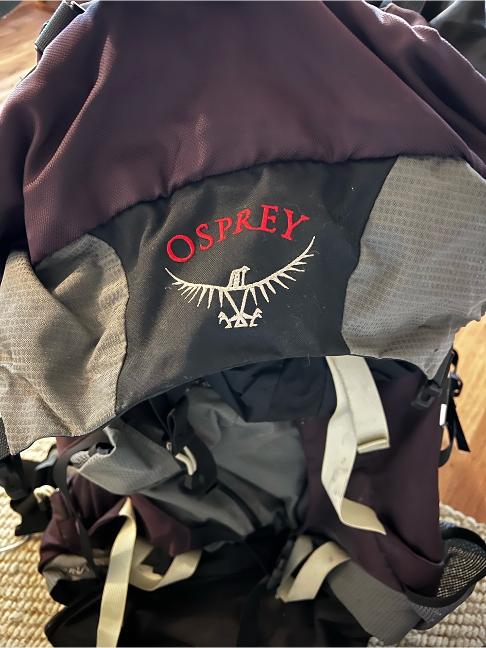 OSPREY Purple and Gray Daypack Backpack